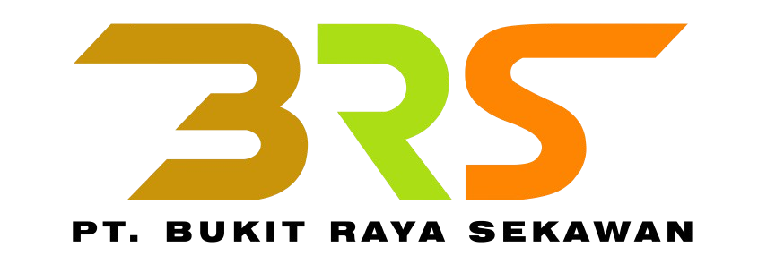 BRS Logo
